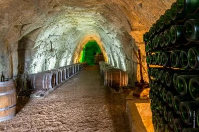 Immagine principale di Domaine Beaumont (Valle della Loira, Anjou, Saumur)