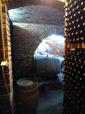 Main image of Sandor Somogyi