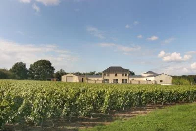 Immagine principale di Chardonnay Meerdael (Hagelandse)