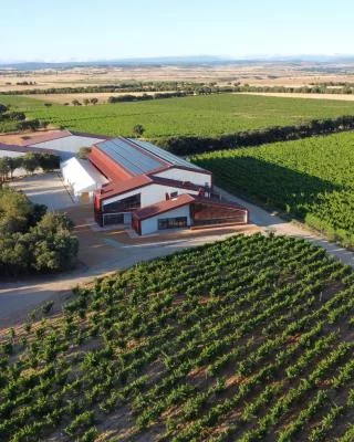 Hauptbild von Bosque de Matasnos (Ribera del Duero)