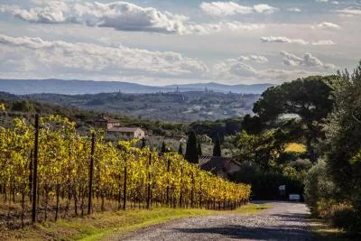 Main image of Fattoria di Corsignano (Chianti, Chianti Classico)