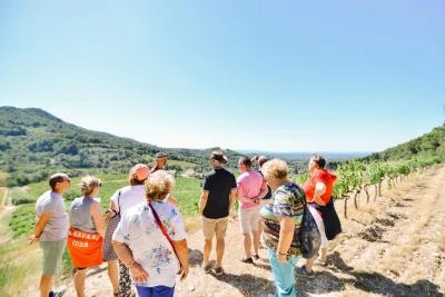 Image principale de Clos de Caveau (Rhône, Southern Rhône, Crozes-Hermitage, Gigondas, Avignon, Côtes du Rhône, Drôme provençale)