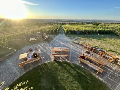 Image principale de Víno Hladký (Skalický)