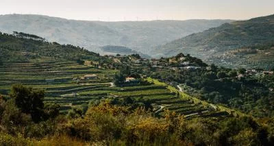 Hauptbild von A&D Wines - Quinta de Santa Teresa