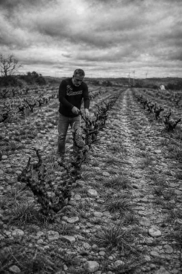 Immagine principale di Joan Bada vins de vinyes úniques (Catalonia, Terra Alta)