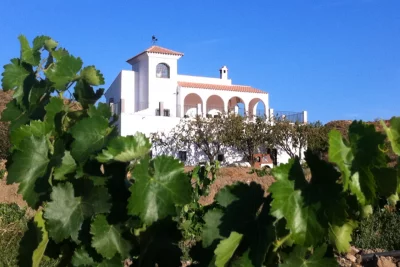 Hauptbild von BODEGAS VILAPLANA (Granada)