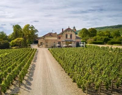 Imagen principal de Champagne A. Lété (Champán, Valle del Marne)