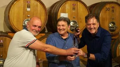 Imagen principal de Agricola Molino S.S.A (Langhe, Moscato d'Asti, Alta Langa, Barbaresco, Colinas de Asti)