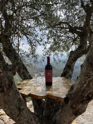 Main image of Quinta D’Azinheira (Douro Valley, Cima Corgo)