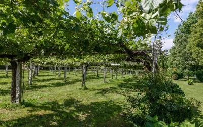 Main image of Pazo Señorans (Rías Baixas, Galicia, Val do Salnés)