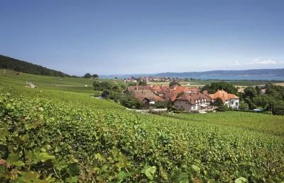 Imagen principal de Les Frères Bloesch (Vaud, Bonvillars, Tres lagos)