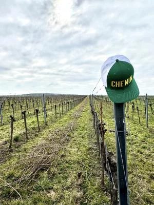 Immagine principale di Kapitel Zwei Wine