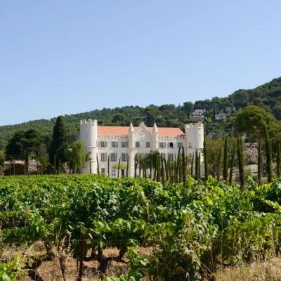 Image principale de Château Carqueiranne (Provence, Côtes de Provence, Var en Provence)
