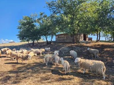 Immagine principale di CLAU DU SOL (Provenza, Rodano, Duche D'Uzes)