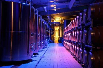 Imagen principal de Champagne Dom Caudron