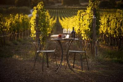 Hauptbild von Poggio al Rigoloccio (Maremma)