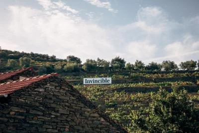 Imagen principal de invincible wines (Douro Valley, Cima Corgo, Távora - Varosa)