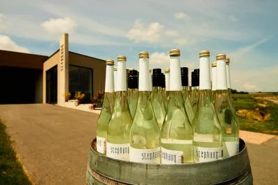 Immagine principale di StephanO DAS-WEIN-GUT (Eisenberg, Burgenland)