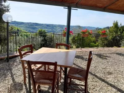 Hauptbild von Azienda Agricola La Collina (Chianti, Chianti Classico, Hügel von Florenz, Val d'Elsa)