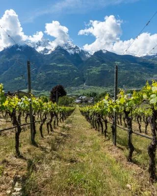 Imagen principal de Rosset Terroir (Monte Emilius)