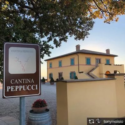Main image of Peppucci