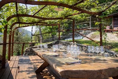 Imagen principal de Del Risti SRL Società Agricola (Lago Como)