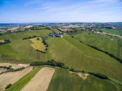 Main image of Azienda Agraria Guerrieri